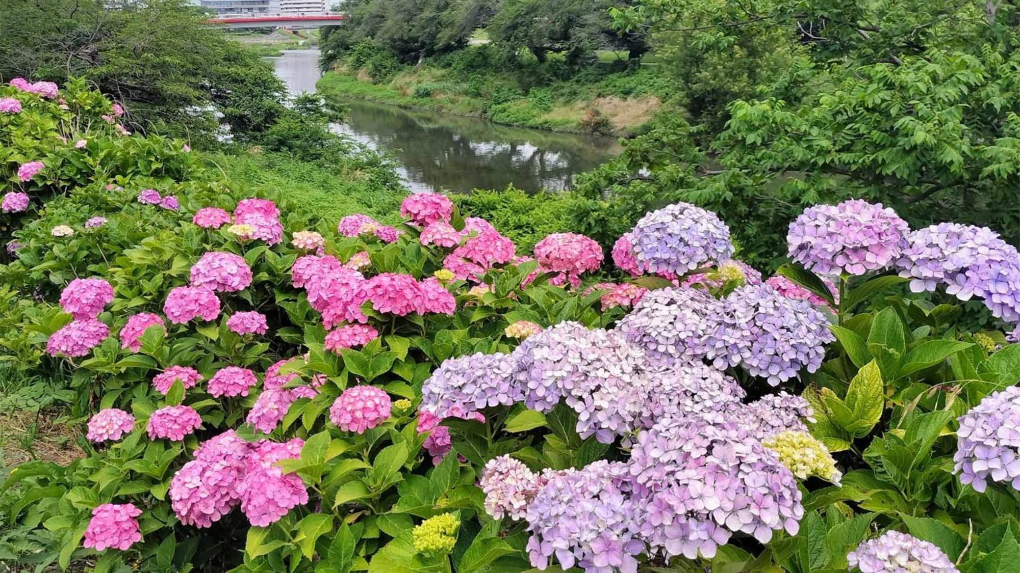 Toyoko Inn Shiki Eki Higashi Guchi Exterior foto